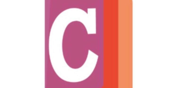 Des jeunes lancent une plateforme de lecture numérique dénommée Chroflix