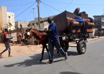 Transport urbain : Les charrettes désormais soumises à des visites techniques