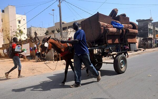 Transport urbain : Les charrettes désormais soumises à des visites techniques
