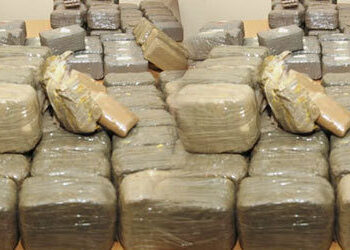 Trafic de drogue : Une valeur de 32 millions F Cfa saisie à Kaolack