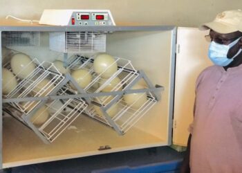 Israël offre 18 œufs d’autruches au Sénégal : Abdou Karim SALL mis en garde contre toute idée d’omelette