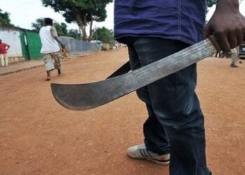 Horreur à Linguère : Ivre du parfum « Boul Falé », un berger tue son ami à coup de coupe-coupe