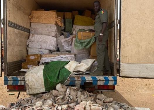 La Douane saisit des médicaments d’une valeur d’1,5 milliard à Keur Ayip