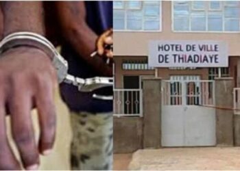 Scandale foncier : L’ancien maire de Thiadiaye « volait » des cartes d’identité pour se taper des terrains