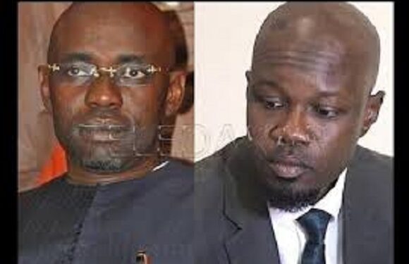 Samuel Sarr Flingue Ousmane Sonko : Tais-toi. Tu n’es pas dans l’eau tiède du jacuzzi de «Sweet beauty » !