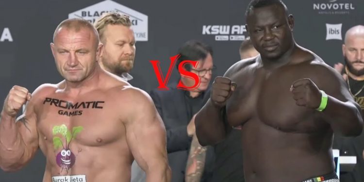 MMA – Bombardier mis KO par Mariusz Pudzianowski