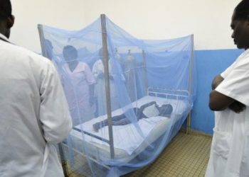 Santé : L’OMS approuve le premier vaccin contre le Paludisme