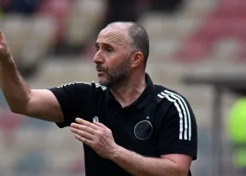 Algérie : Djamel Belmadi se plaint du calendrier de la CAN 2021