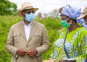 Campagne agricole 2022-2023 : Un budget de 70 milliards de FCFA prévu