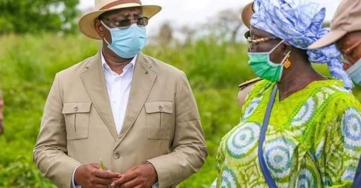 Campagne agricole 2022-2023 : Un budget de 70 milliards de FCFA prévu