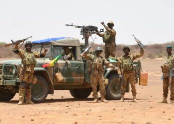 Mali : L’armée affirme avoir tué 203 combattants dans une opération au Sahel