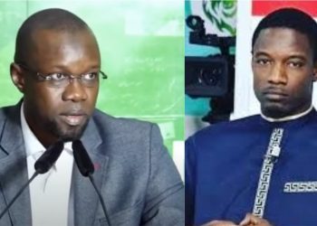 Tournée en Italie : Pape Djibril Fall hué dans un terrain de foot par militants de Ousmane Sonko