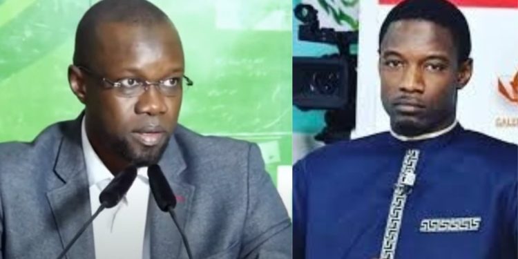 Tournée en Italie : Pape Djibril Fall hué dans un terrain de foot par militants de Ousmane Sonko