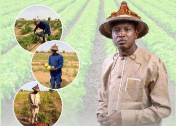 Nouveau Gouvernement : Aly Ngouille Ndiaye décline ses ambitions