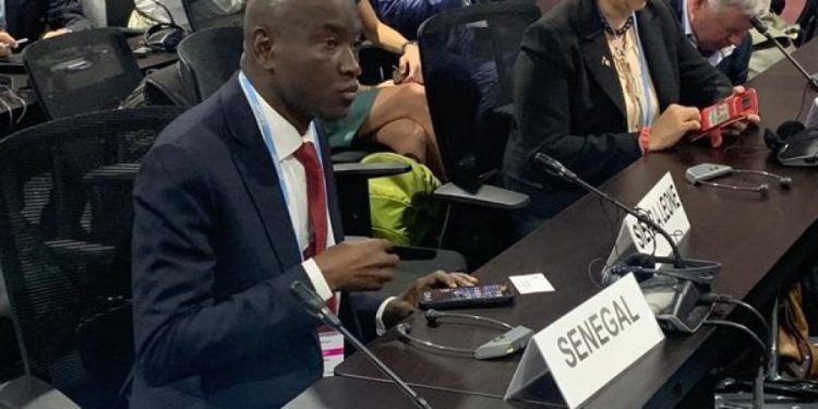 Le ministre Aly Ngouille Ndiaye au sommet de la COP 27 à Charm el-Cheikh