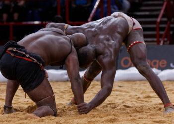 Lutte simple : Mansour Faye fait repousser la tenue du Drapeau du Chef de l’Etat !                            