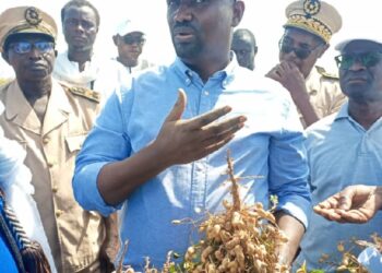 Samba Ndiobène Ka, ministre de l’Agriculture : « C’est la première fois qu’une campagne agricole engloutit plus de 100 milliards F CFA »