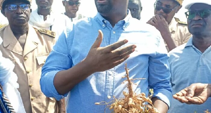 Samba Ndiobène Ka, ministre de l’Agriculture : « C’est la première fois qu’une campagne agricole engloutit plus de 100 milliards F CFA »