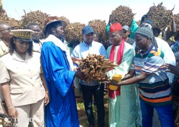 Suivi de la campagne agricole : Samba Ndiobène Ka satisfait de sa tournée à Kaffrine