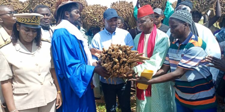 Suivi de la campagne agricole : Samba Ndiobène Ka satisfait de sa tournée à Kaffrine