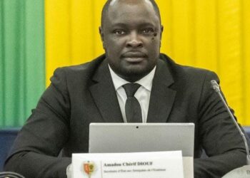 Visite Officielle du Secrétaire d’Etat des Sénégalais de l’Extérieur en Espagne : Un manque de planification déploré par la communauté (Par Momar Dieng Diop)