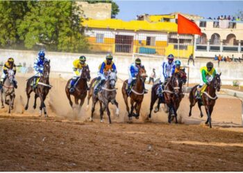 Hippisme : Une confédération ouest africaine du galop et des sports équestres en gestation