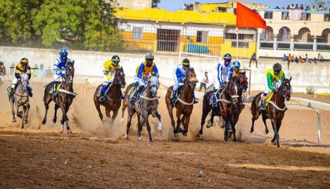 Hippisme : Une confédération ouest africaine du galop et des sports équestres en gestation