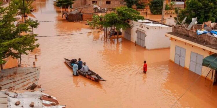 Crues du fleuve Sénégal : Ces chiffres qui font froid dans le dos