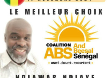 La Voix de la Diaspora : NDIAWAR NDIAYE, Espoir des Sénégalais de l’Europe du Sud aux Législatives de 2024