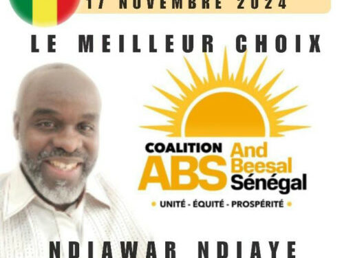 La Voix de la Diaspora : NDIAWAR NDIAYE, Espoir des Sénégalais de l’Europe du Sud aux Législatives de 2024