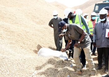 Campagne arachidière : La Sonacos de Ziguinchor s’illustre avec des performances exceptionnelles