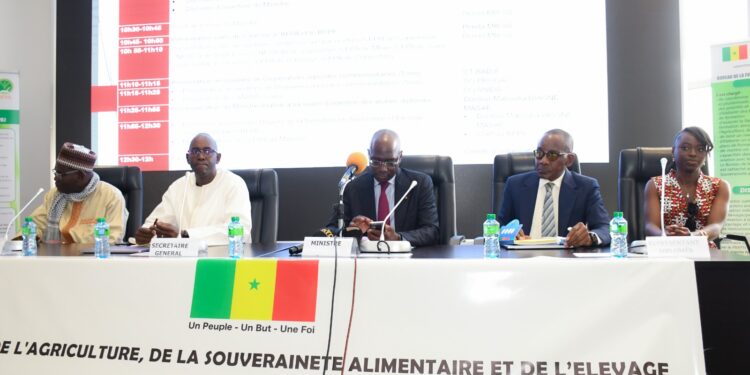 Insertion des diplômés agricoles : cinq coopératives pilotes et des projets financés pour un avenir rural