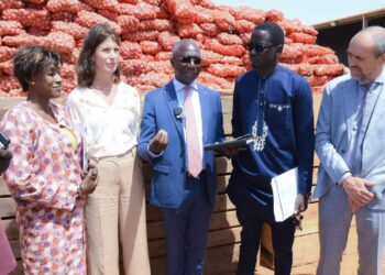 Horticulture : Le Sénégal et Les Pays-Bas renforcent leur coopération