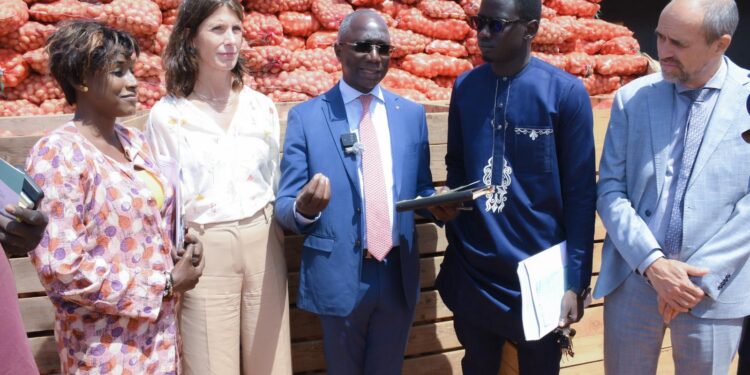 Horticulture : Le Sénégal et Les Pays-Bas renforcent leur coopération