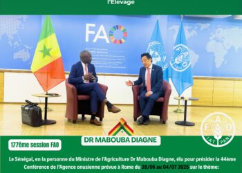 177ᵉ session de la FAO à Rome : Le Sénégal à l’honneur