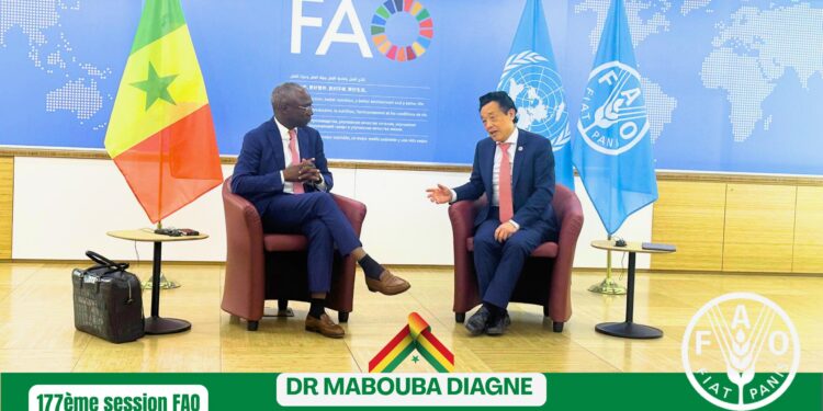 177ᵉ session de la FAO à Rome : Le Sénégal à l’honneur