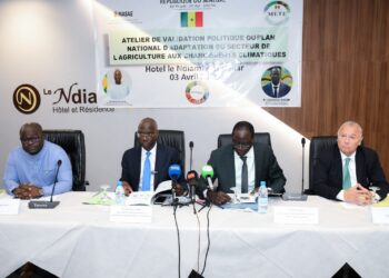 Sénégal : Un nouveau Plan National d’Adaptation pour une agriculture résiliente