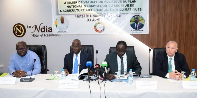 Sénégal : Un nouveau Plan National d’Adaptation pour une agriculture résiliente