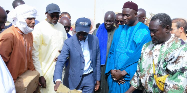 Programme de construction de 18 500 tonnes de Hangars Frigorifiques: Pose de la première pierre du hangar frigorifique de Tassette