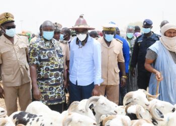 Missirah, carrefour stratégique du bétail : Le Secrétaire d’État Dr Alpha Ba en tournée de supervision pour une Tabaski 2025 réussie