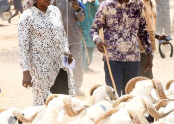 Tabaski 2025 : Une Synergie Publique entre le FONSTAB, la DER/FJ et la BNDE pour une Fête Accessible et Inclusive