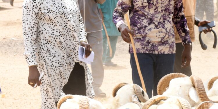 Tabaski 2025 : Une Synergie Publique entre le FONSTAB, la DER/FJ et la BNDE pour une Fête Accessible et Inclusive