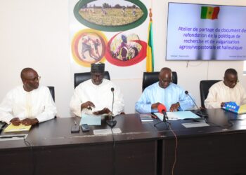 Sénégal : Vers une refondation de la politique de recherche et de vulgarisation agrosylvopastorale et halieutique