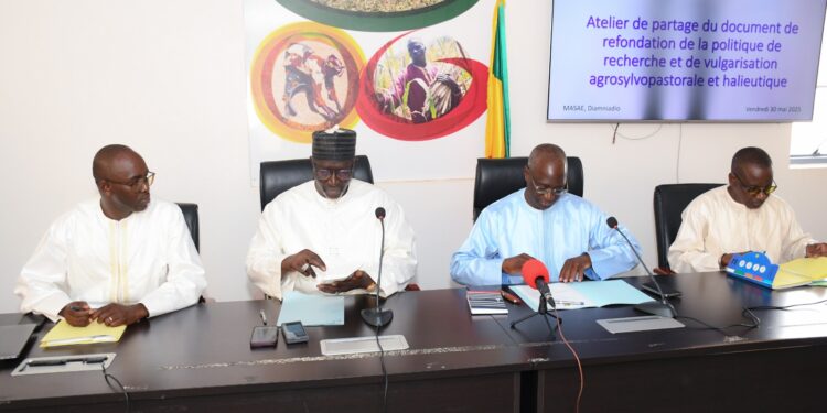 Sénégal : Vers une refondation de la politique de recherche et de vulgarisation agrosylvopastorale et halieutique