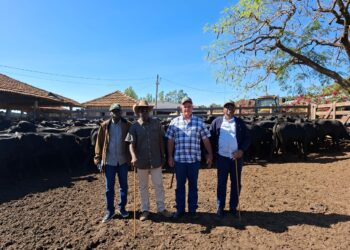 Autosuffisance en lait : Le Sénégal veut s’inspirer du modèle Brésilien
