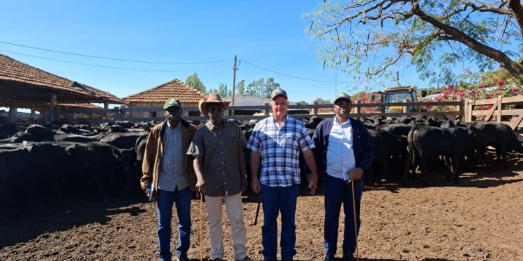 Autosuffisance en lait : Le Sénégal veut s’inspirer du modèle Brésilien