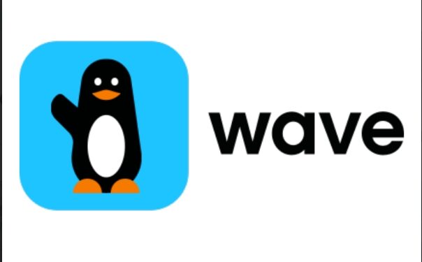 Wave lève 117 millions d’euros pour accélérer l’inclusion financière sur le continent africain