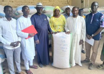 Reconstruction de notre Capital Semencier : Un Cap Stratégique pour la Souveraineté Alimentaire