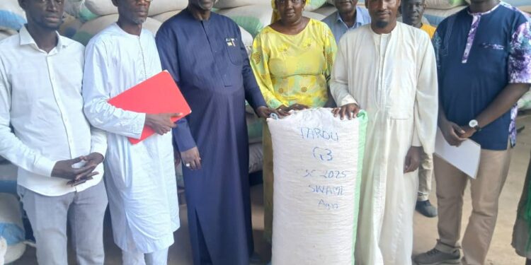 Reconstruction de notre Capital Semencier : Un Cap Stratégique pour la Souveraineté Alimentaire