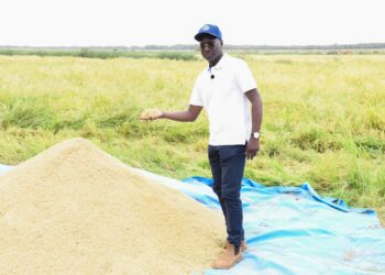Du Fleuve à la Terre : Quatre Jours, Quatre Départements, Une Seule Ambition – La Souveraineté Alimentaire !